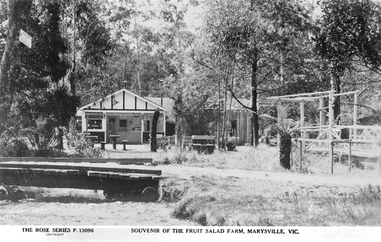 A digital copy of a black and white postcard from the Fruit Salad Farm in Marysville that was produced by the Rose Stereograph Company as a souvenir of Marysville.