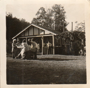 A digital copy of a black and white photograph taken at the Fruit Salad Farm in Marysville.