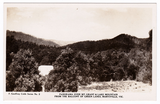 A black and white postcard of the view of Mt. Grant and Lake Mountain from Green Lanes guest house in Marysville. The postcard was produced by the Rose Stereograph Company as a souvenir of Marysville.