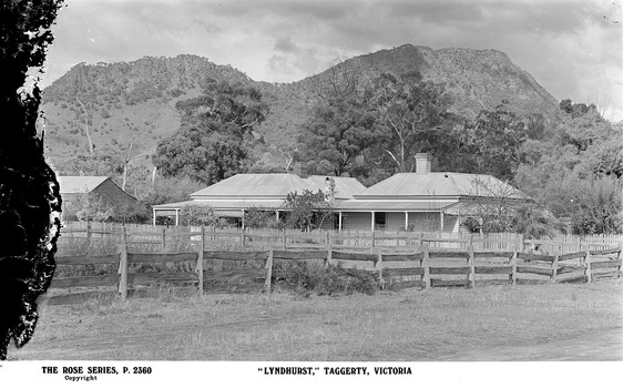 A digital copy of a black and white postcard of "Lyndhurst" near Taggerty that was produced by the Rose Stereograph Company as a souvenir of Taggerty.