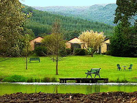 A digital copy of a colour photograph taken at Maryton Park near Marysville.