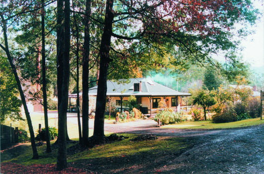 A digital copy of a colour photograph of Melina Cottage in Marysville.