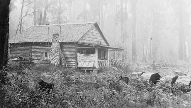 A digital copy of a black and white photograph of the batchelor's quarters log cabin at Mount Kitchener House in Marysville taken in 1930.