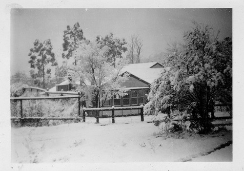 A digital copy of a black and white photograph of Roseleigh guest house in Marysville. The original photograph was taken in 1951.