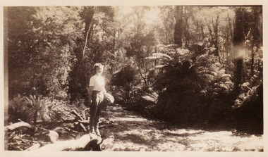 A black and white photograph taken at the Taggerty River near Marysville. The photograph was taken in about 1944 during a stay at Roseleigh guest house in Marysville.