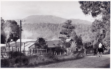 A black and white photograph taken at Roseleigh in Marysville. The photograph was taken in April, 1949 by Roy Liebig.