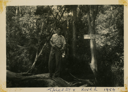 A black and white photograph of an unknown man at the Taggerty River in Taggerty. The photograph was taken in 1954 during a stay at Roseleigh in Marysville.