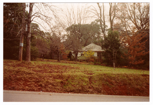 A colour photograph taken at Woodbine in Marysville.