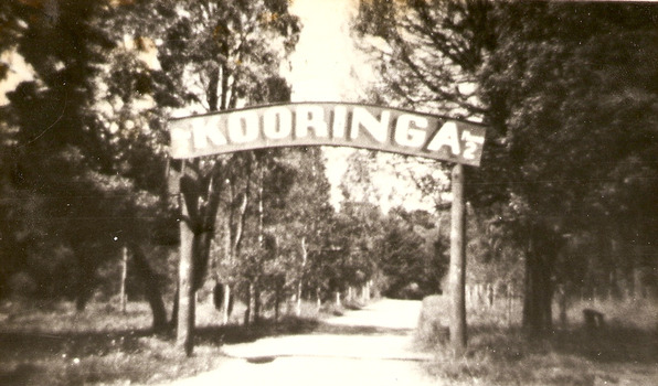 A copy of a black and white photograph of the 'Kooringa' sign which was over the original road in from the main street, Murchison Street, in Marysville. The original photograph was taken in the 1920s.