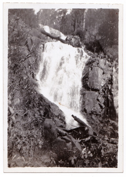 A black and white photograph of Steavenson Falls taken by a guest who was staying at Kooringa Guest House in Marysville. The photograph was taken in 1946.