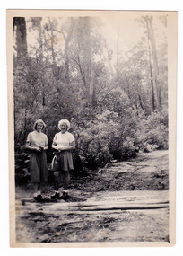 A black and white photograph taken at the Taggerty River by a guest staying at Kooringa Guest House in Marysville.