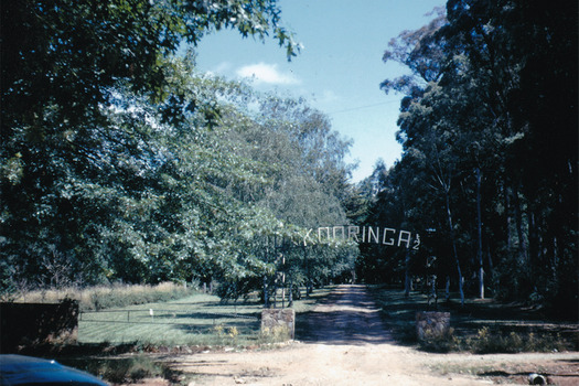 A digital copy of a colour photograph of the front entrance gate and the driveway of Kooringa Guest House in Marysville. The original photograph was taken in 1960.
