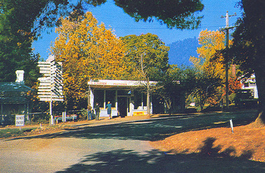 Shows a shop on Pack Road in Marysville in Victoria. Shows the proprietor's name and the word Fruiterer across the front of the building. Shows three people standing in front of the shop on the footpath. Opposite the shop is a corner island with a large wooden sign post with a number of signs leading in all directions. At the right of the building is a weatherboard building with a large white chimney.