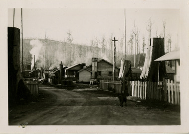 An early black and white photograph of the Cambarville timber mill in the Cumberland Valley. Cambarville was established as a timber mill town in the 1940s. Timber mill owners A. Cameron and F.J. Barton named Cambarville. They established the mill to salvage timber from trees destroyed in the 1939 bushfires. Cambarville was impacted by the 2009 Black Saturday bushfires and any remaining structures were destroyed. The photograph was taken in August 1952.