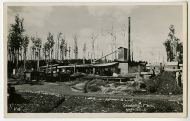 A black and white postcard of the Cambarville Timber mill near Marysville. Cambarville was established as a timber mill town in the 1940s. Timber mill owners A. Cameron and F.J. Barton named Cambarville. They established the mill to salvage timber from trees destroyed in the 1939 bushfires. Cambarville was impacted by the 2009 Black Saturday bushfires and any remaining structures were destroyed. This postcard was produced by Valentine's Publishing Co as a souvenir of Marysville. On the reverse is a space to write a message and an address and to place a postage stamp. The postcard is unused.