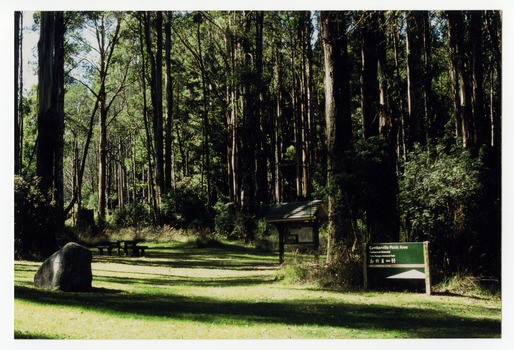 A colour photograph of the Cambarville picnic area. Cambarville was established as a timber mill town in the 1940s. Timber mill owners A. Cameron and F.J. Barton named Cambarville. They established the mill to salvage timber from trees destroyed in the 1939 bushfires. Cambarville was impacted by the 2009 Black Saturday bushfires and any remaining structures were destroyed.