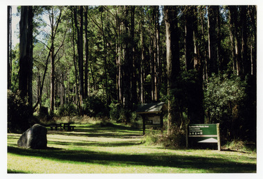 A colour photograph of the Cambarville picnic area. Cambarville was established as a timber mill town in the 1940s. Timber mill owners A. Cameron and F.J. Barton named Cambarville. They established the mill to salvage timber from trees destroyed in the 1939 bushfires. Cambarville was impacted by the 2009 Black Saturday bushfires and any remaining structures were destroyed.