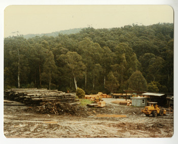 A colour photograph taken at Sunds Bros Sawmill in Marysville. Sund's Sawmill (historically operated by Arthur & John Sund and often referenced locally as Sund Stenco) was a prominent mid-century timber mill located in Marysville, Victoria. It played a central role in the region's booming post-war logging era. 