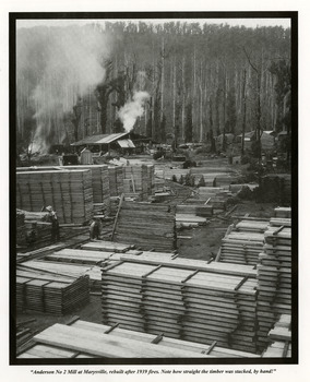 A page from a calendar with a black and white photograph taken at the Anderson No. 2 Mill at Marysville. The mill was rebuilt after the 1939 Black Friday bushfires.