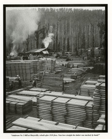 A page from a calendar with a black and white photograph taken at the Anderson No. 2 Mill at Marysville. The mill was rebuilt after the 1939 Black Friday bushfires.