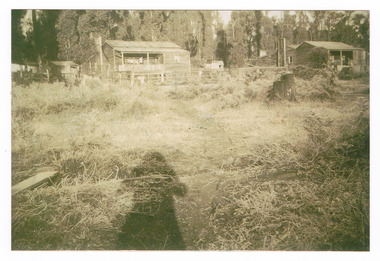 A copy of a black and white photograph taken at Andersons No. 1 Mill of some of the mill workers' houses.