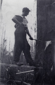 A copy of a black and white photograph taken of Mick Brown felling a tree. Alfred Edgar (Mick) Brown worked at the Andersons No. 1 Mill near Marysville.