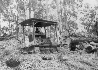 A copy of a black and white photograph of a Fordson rail tractor hauling logs to the Andersons No. 2 mill.