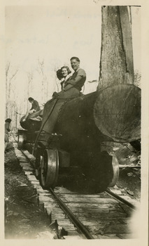 A black and white photograph of a large log being hauled to Andersons timber mill. The log was later displayed at Gallipoli Park in Marysville.