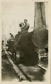A black and white photograph of a large log being hauled to Andersons timber mill. The log was later displayed at Gallipoli Park in Marysville.