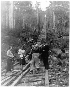 A digital copy of a black and white photograph of a group of walkers walking along a timber tramway. The timber tramways were used to haul logs to the Andersons No. 1 and No. 2 mill near Marysville.
