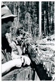 A copy of a black and white photograph of two tree fellers sharpening a crosscut saw in the forest.