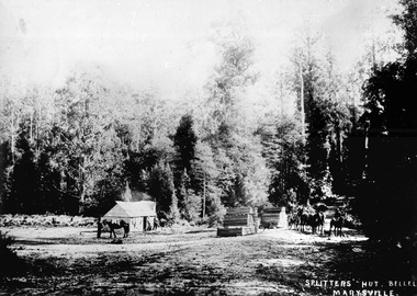 A digital copy of a black and white photograph of a splitters hut at Bellel near Marysville. A timber splitter (historically also called a paling-splitter or wood-splitter) was a manual forest worker who felled large trees and split the wood along the grain into useful building materials and fencing components using hand tools like axes, heavy wooden mallets (mauls), and iron wedges.