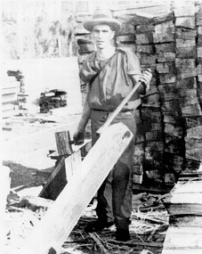 A digital copy of a black and white photograph of George Locke splitting palings.