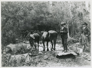 A copy of a black and white photograph of three men with two horses hauling palings over Myrtle Creek in Marysville.