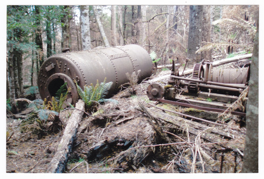 A series of ten colour photographs showing an abandoned donkey engine and its winching gear in the forest. The donkey engine and winching gear were used to haul logs from the forest. The photographs were taken in November 2009.