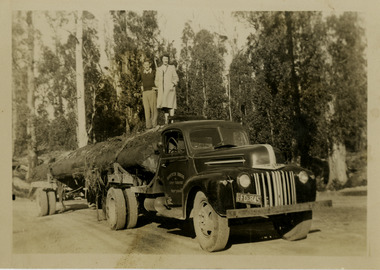 A black and white photograph of one of the Bantick Bros's trucks hauling some large logs on a timber jinker. There are also a lady and a man standing on top of the logs.