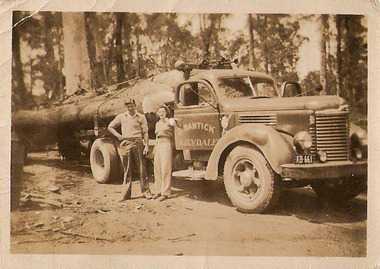 A digital copy of a black and white photograph of one of the Bantick Bros's trucks hauling some large logs on a timber jinker. Bantick Bros. Pty. Ltd. was a prominent, multi-generational logging and transport business originally based in Marysville, Victoria.The company is a major part of the regional forestry and timber history of the Yarra Valley and North East Victoria. Formed by the Bantick family (including D.V., V.L., and R. Bantick), the company operated commercial heavy goods vehicles and hardwood logging trucks. They held licenses dating back to at least the 1940s through the 1970s and 80s to haul massive timber logs from forest landings across the Niagaroon and Upper Yarra forestry districts, as well as the North Big River area. In addition to their core logging and transport divisions, the family name was heavily tied to the local community—including running Bantick's Garage in Marysville during the mid-1970s.