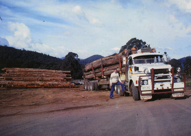 A colour photograph of David Bantick standing next to his Volvo log truck in the Gould's log yard in Marysville. The photograph was taken in the 1970s.