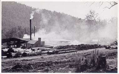 A black and white photograph of the buildings and log piles at J.L. Goulds Sawmill in Marysville.