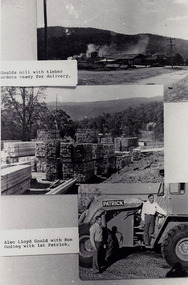 A group of three black and white photographs all taken at J.L. Goulds Sawmill in Sunds Road, Marysville.