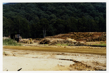 A colour photograph of timber logs stacked at J.L. Goulds Sawmill in Sunds Road, Marysville. The timber was known as 'roundwood' and was destined to be sent to Kleenex for processing into Kleenex tissues.