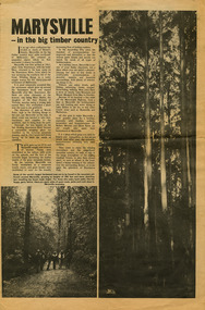 Shows a newspaper article on some of the history of Marysville, the timber industry and some local attractions. Shows a small map of the region along with a list of accommodation sites. Also shows a small map of the township. Shows a photograph of a group of men walking along a forest track, a photograph of tall timbers, and two photographs of a sawmill, both inside and out. 
