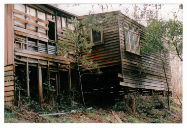 Shows a timber worker's cottage surrounded by trees.