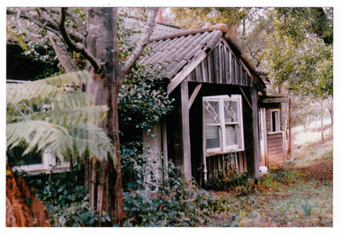Shows a timber worker's cottage surrounded by trees.