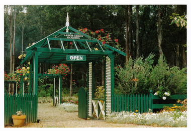 Shows a photograph of the garden entrance and bridge at Arbor Green Gardens in Marysville. Shows a green painted timber arbor with large gates leading through to a small pergola covered in a flowering plant.