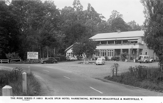 Shows a black and white postcard of the Black Spur Hotel in Narbethong. Shows a large double storey building with a verandah running along the front of both floors. Shows several vehicles standing in the front car part of the hotel alongside a sign advertising counter lunches 12 to 2pm daily and sign advertising the availability of Melbourne Bitter and Penfolds wine at the hotel.