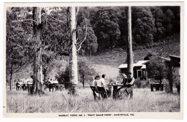 A black and white postcard of the Fruit Salad Farm in Marysville that was produced by Murray Views as a souvenir of Marysville.