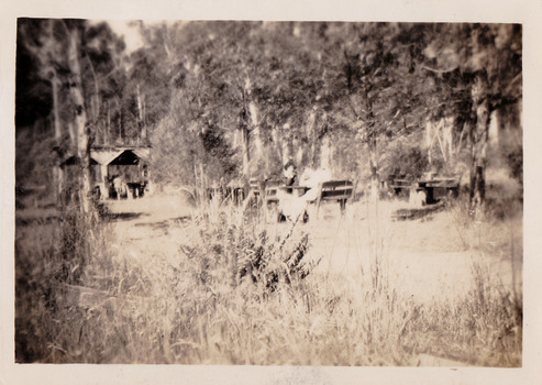 A black and white photograph taken at the Fruit Salad Farm in Marysville in 1949.