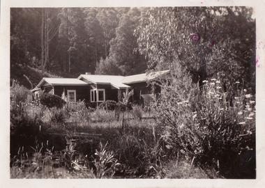 A black and white photograph taken at the Fruit Salad Farm in Marysville in 1949.