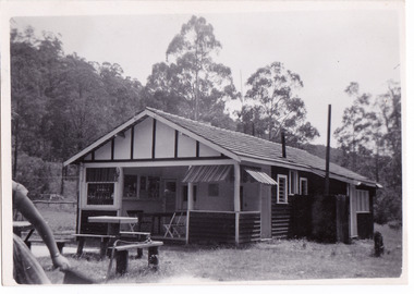 A black and white photograph taken at the Fruit Salad Farm in Marysville in 1954.